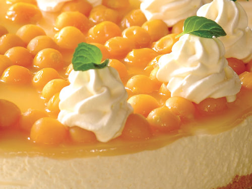 Gooseberry Cheesecake